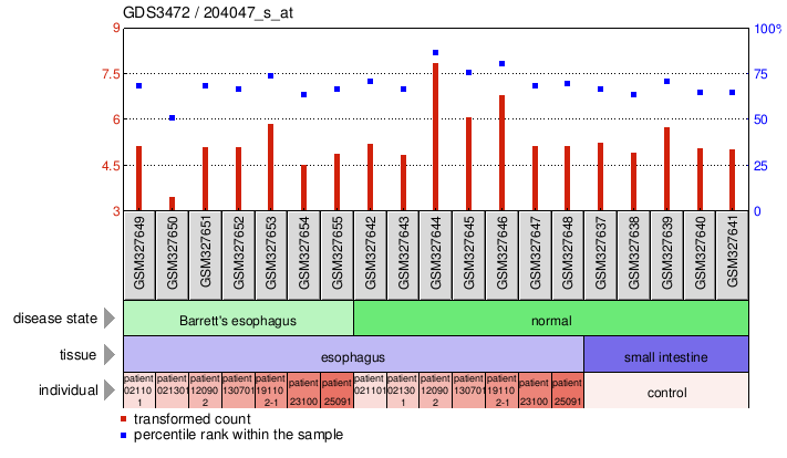 Gene Expression Profile