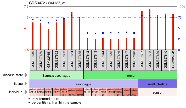 Gene Expression Profile