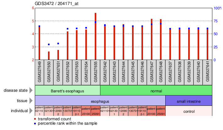 Gene Expression Profile