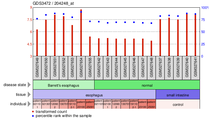 Gene Expression Profile