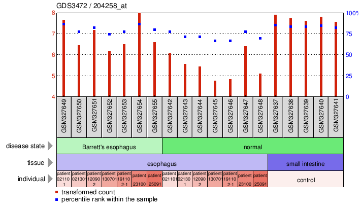 Gene Expression Profile