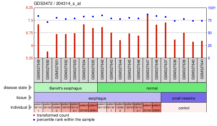 Gene Expression Profile