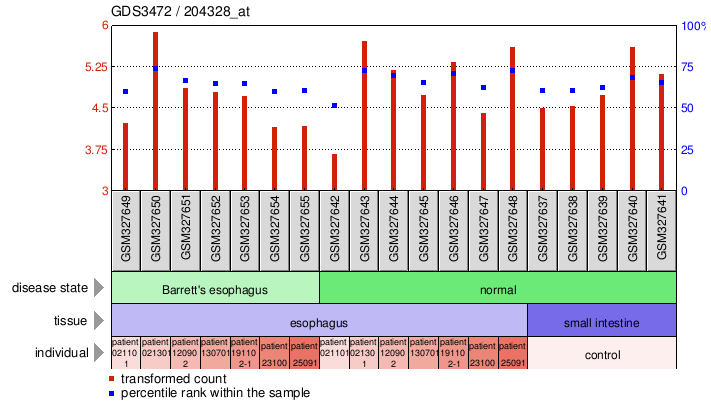 Gene Expression Profile