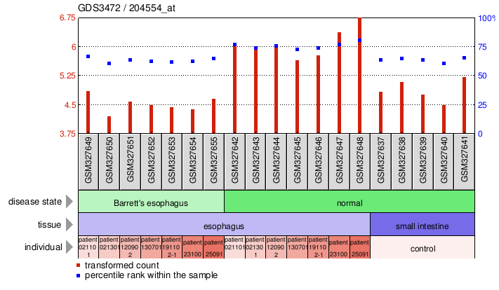 Gene Expression Profile