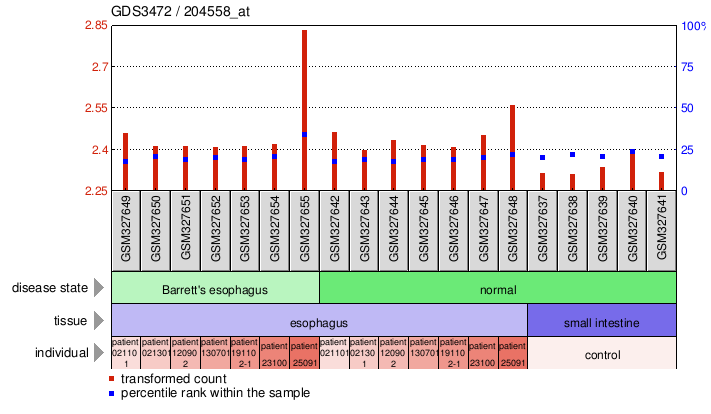 Gene Expression Profile