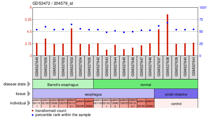 Gene Expression Profile