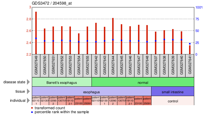 Gene Expression Profile