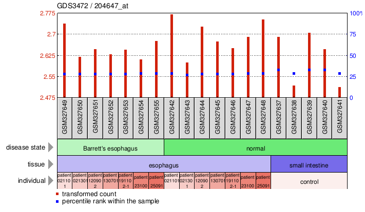 Gene Expression Profile