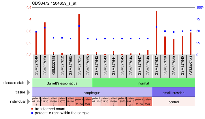 Gene Expression Profile