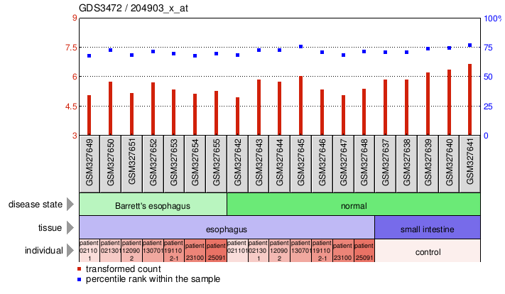 Gene Expression Profile