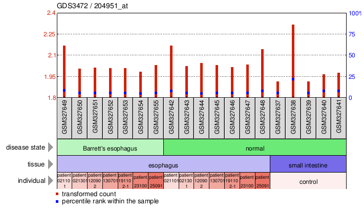 Gene Expression Profile