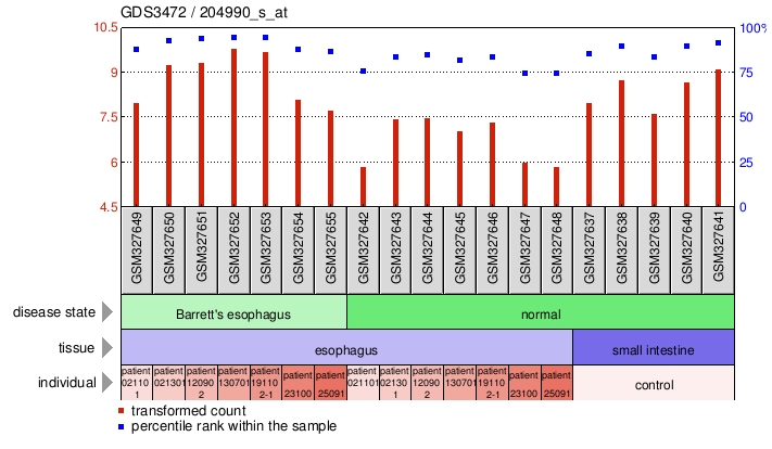 Gene Expression Profile