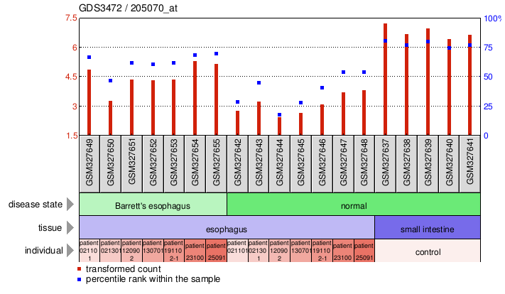 Gene Expression Profile