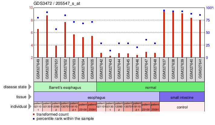 Gene Expression Profile