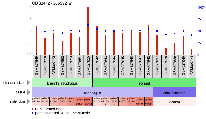 Gene Expression Profile