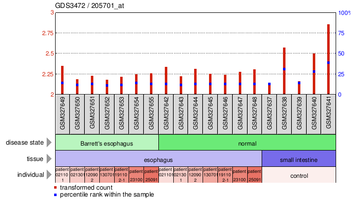 Gene Expression Profile