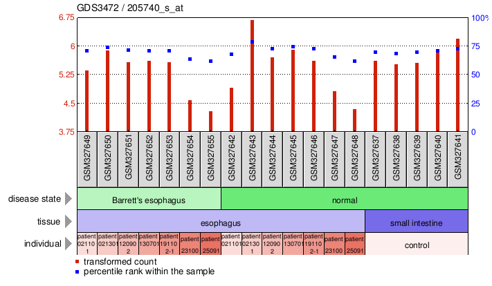 Gene Expression Profile