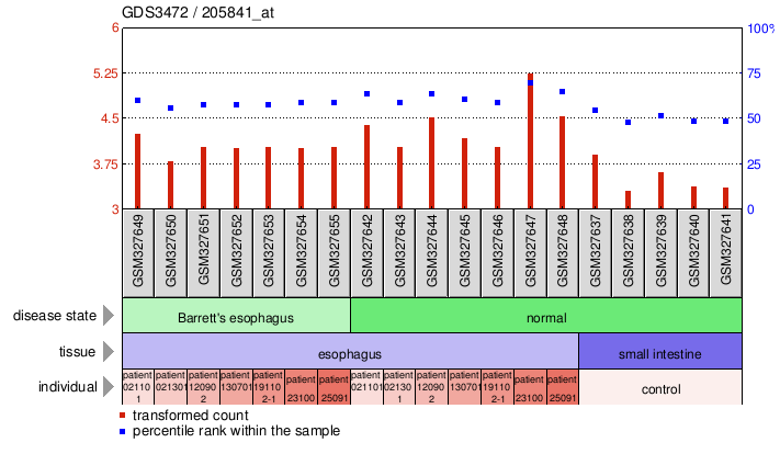 Gene Expression Profile