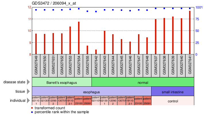 Gene Expression Profile