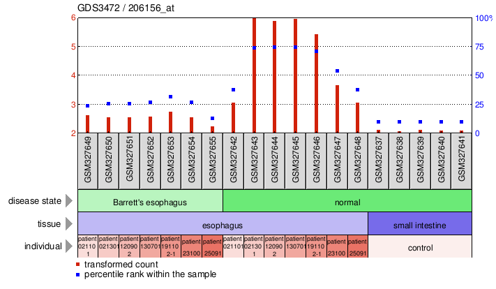 Gene Expression Profile