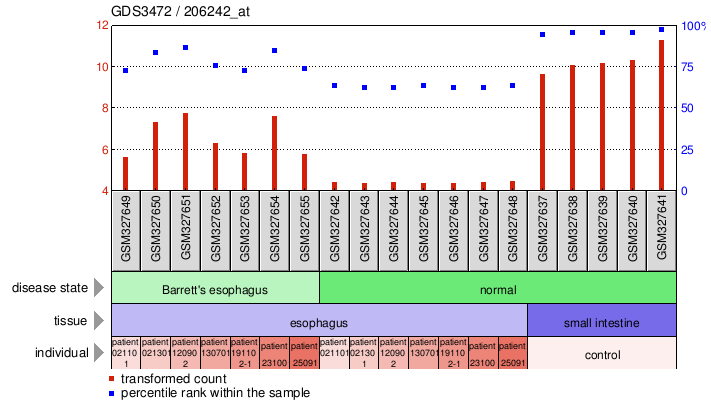 Gene Expression Profile