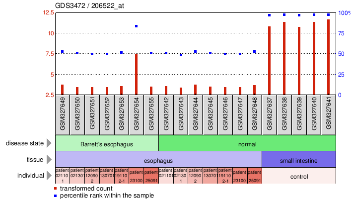 Gene Expression Profile