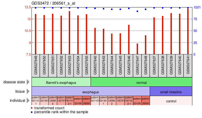 Gene Expression Profile