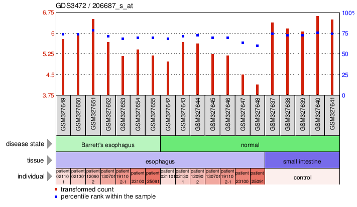 Gene Expression Profile