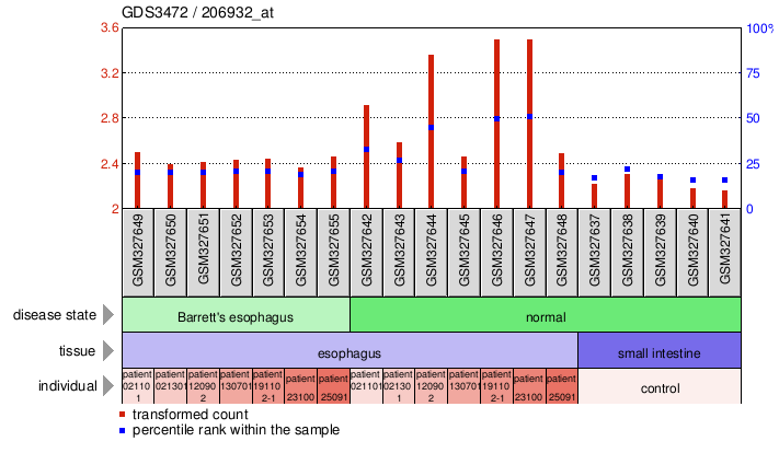 Gene Expression Profile