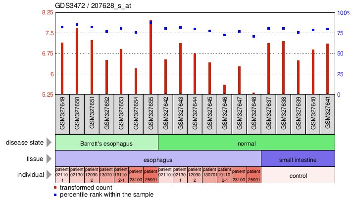 Gene Expression Profile