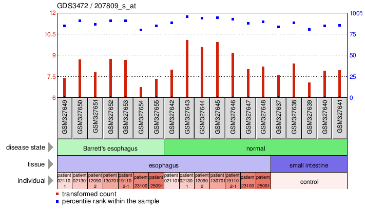 Gene Expression Profile