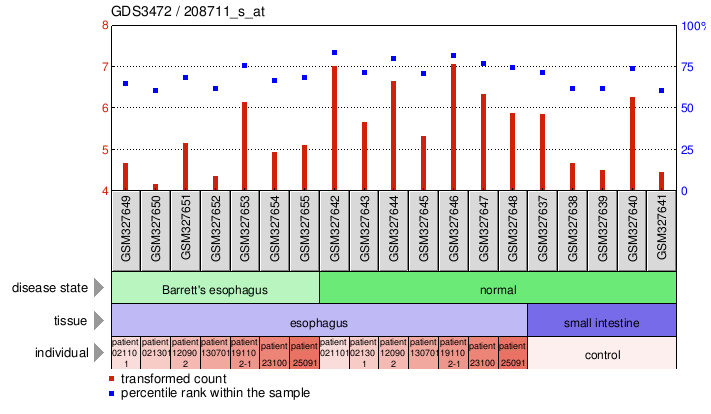 Gene Expression Profile