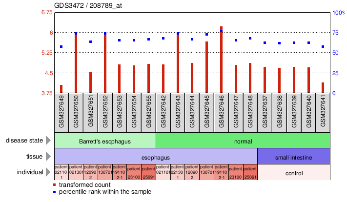 Gene Expression Profile