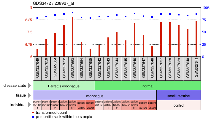 Gene Expression Profile