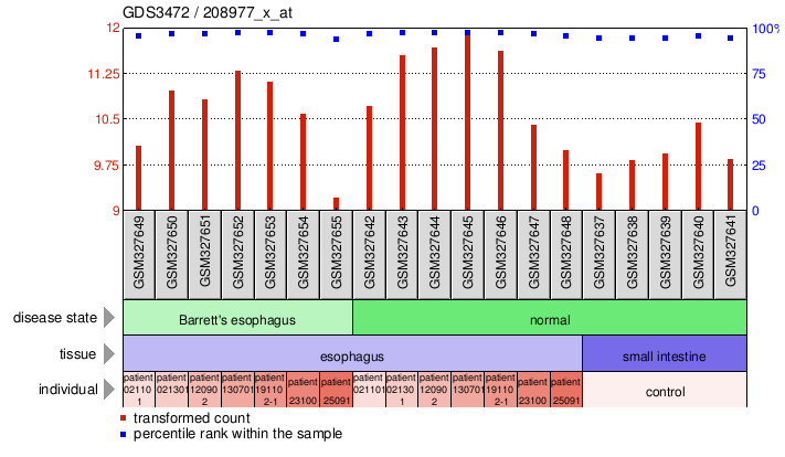 Gene Expression Profile