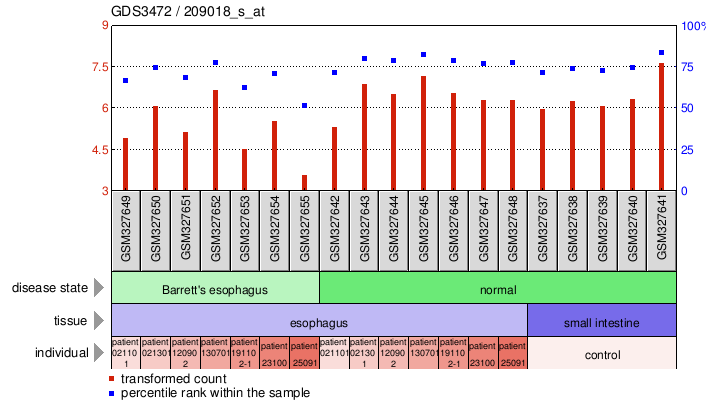 Gene Expression Profile