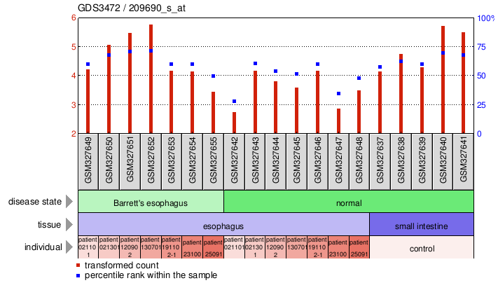 Gene Expression Profile