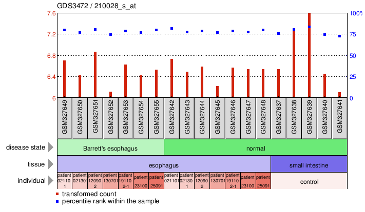 Gene Expression Profile