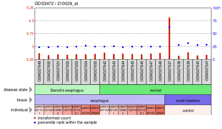 Gene Expression Profile