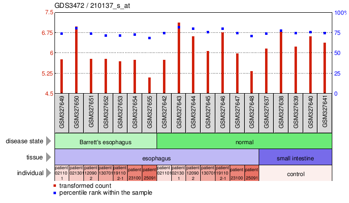 Gene Expression Profile