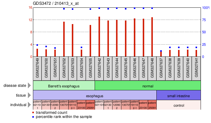 Gene Expression Profile