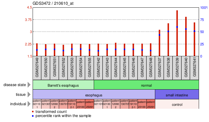 Gene Expression Profile