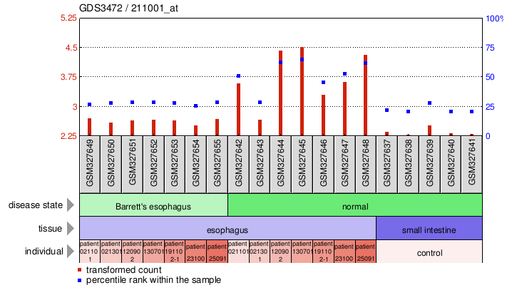 Gene Expression Profile