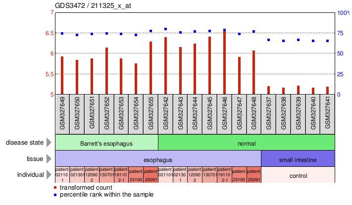 Gene Expression Profile