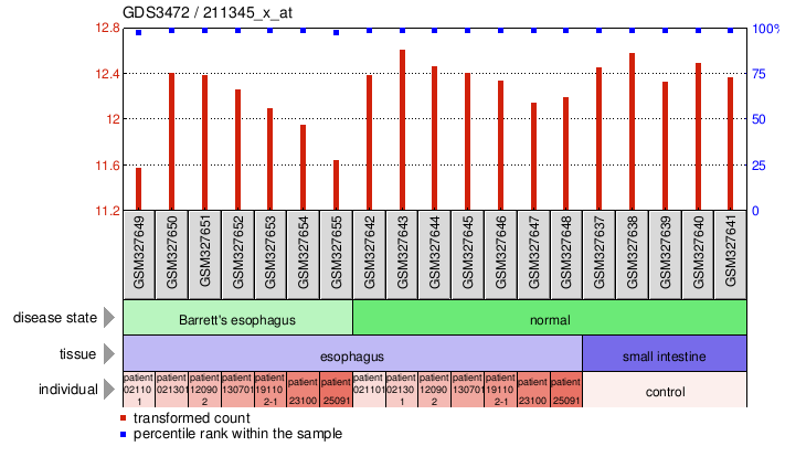 Gene Expression Profile