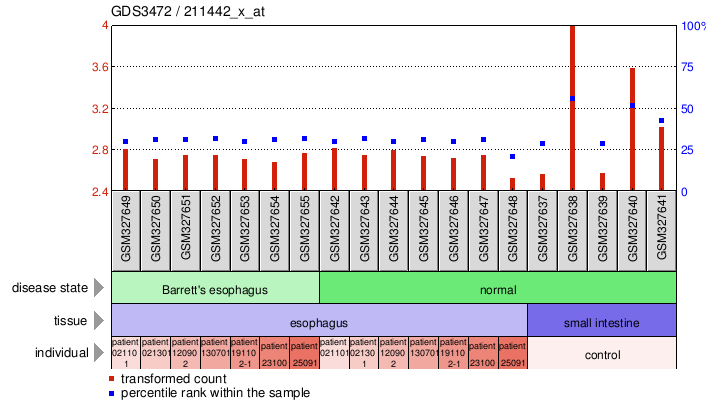 Gene Expression Profile