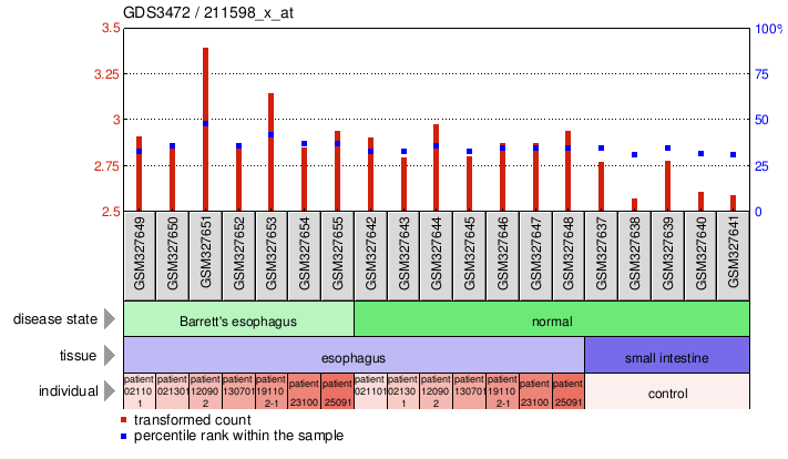 Gene Expression Profile