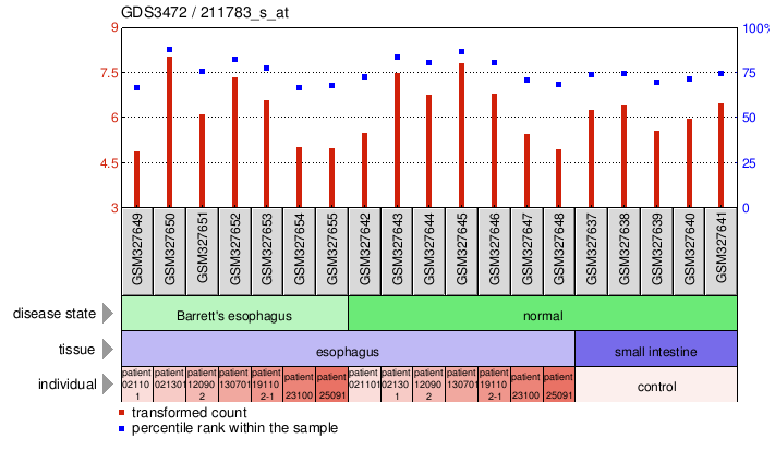 Gene Expression Profile