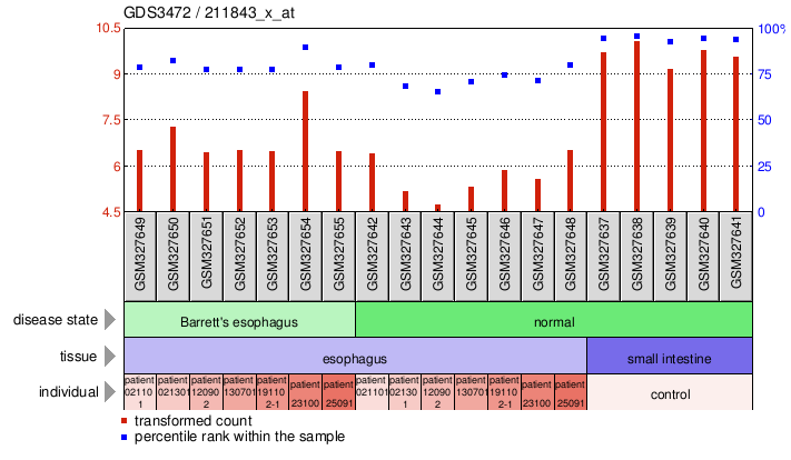 Gene Expression Profile