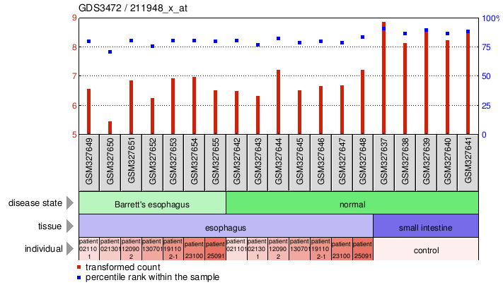 Gene Expression Profile